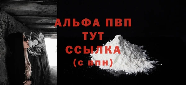 молекула духа Вязьма