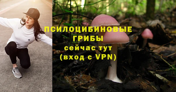 молекула духа Вязьма