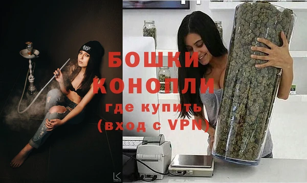 молекула духа Вязьма