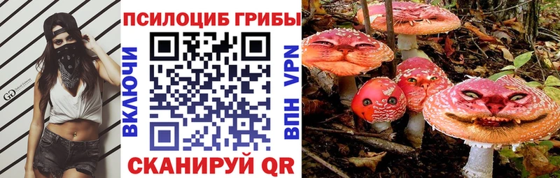 Галлюциногенные грибы мухоморы  Купить закладки  Кирсанов 